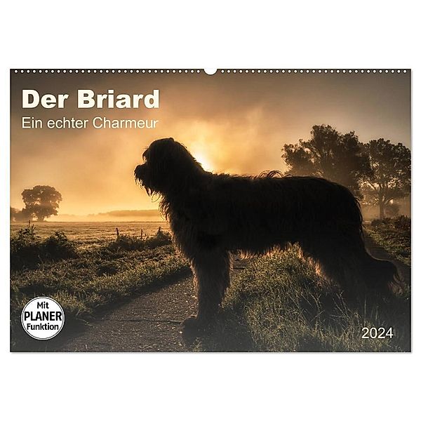 Der Briard 2024 - Ein echter Charmeur (Wandkalender 2024 DIN A2 quer), CALVENDO Monatskalender, Sonja Teßen
