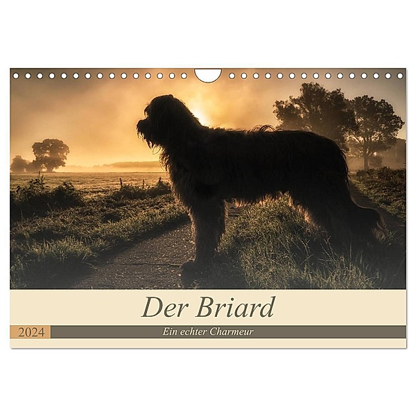 Der Briard 2024 - Ein echter Charmeur (Wandkalender 2024 DIN A4 quer), CALVENDO Monatskalender, Sonja Teßen