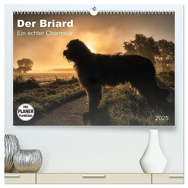Der Briard 2025 - Ein echter Charmeur (hochwertiger Premium Wandkalender 2025 DIN A2 quer), Kunstdruck in Hochglanz, Calvendo, Sonja Teßen