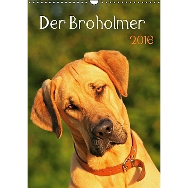 Der Broholmer (Wandkalender 2016 DIN A3 hoch), Nixe