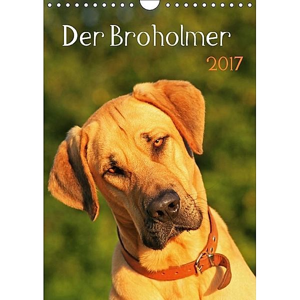 Der Broholmer (Wandkalender 2017 DIN A4 hoch), Nixe