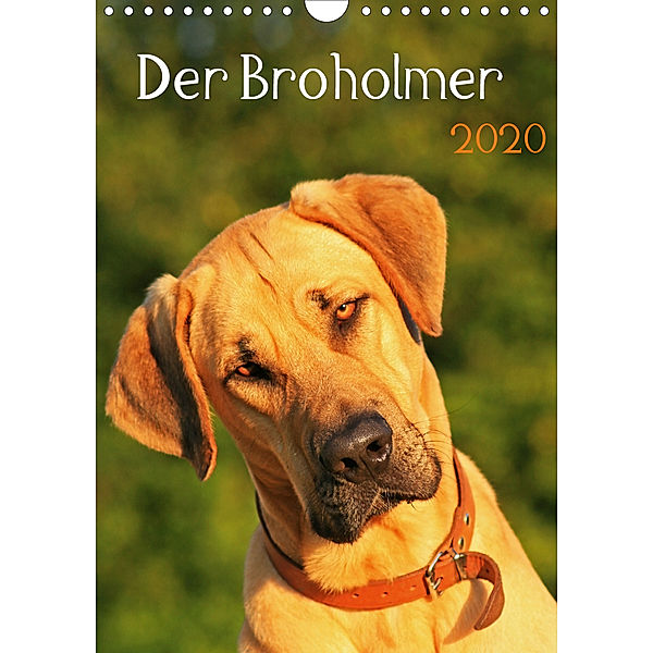 Der Broholmer (Wandkalender 2020 DIN A4 hoch)