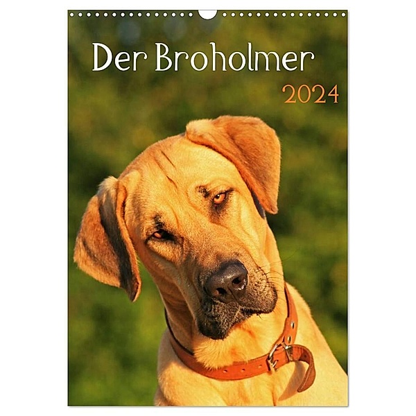 Der Broholmer (Wandkalender 2024 DIN A3 hoch), CALVENDO Monatskalender, Nixe