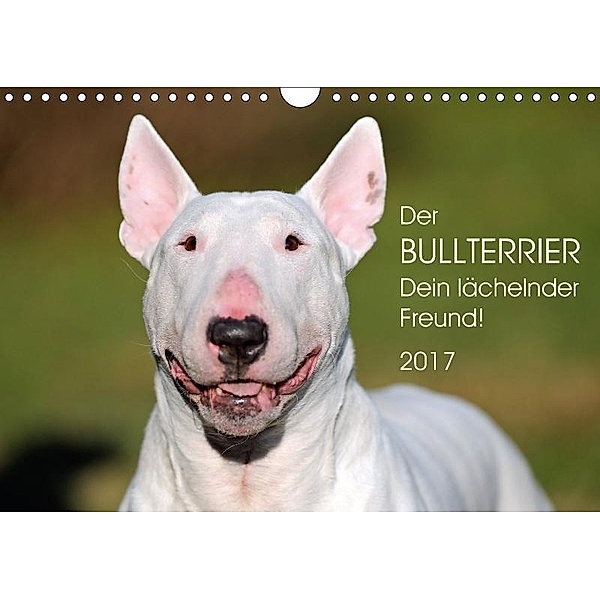 Der Bullterrier, Dein lächelnder Freund!AT-Version (Wandkalender 2017 DIN A4 quer), Andreas Helfrich