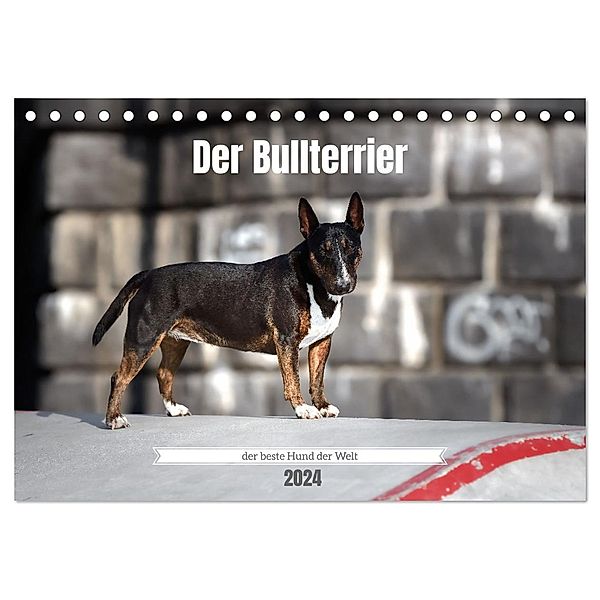 Der Bullterrier der beste Hund der Welt (Tischkalender 2024 DIN A5 quer), CALVENDO Monatskalender, Yvonne Janetzek