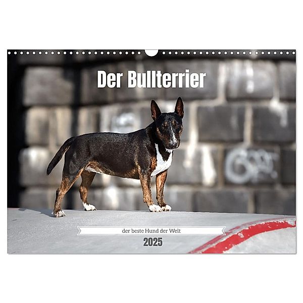 Der Bullterrier der beste Hund der Welt (Wandkalender 2025 DIN A3 quer), CALVENDO Monatskalender, Calvendo, Yvonne Janetzek