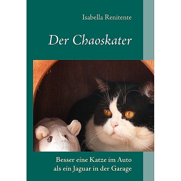 Der Chaoskater, Isabella Renitente