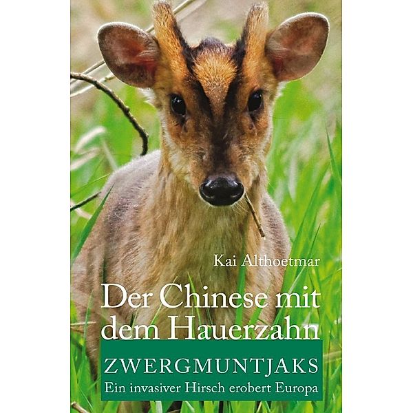 Der Chinese mit dem Hauerzahn, Kai Althoetmar