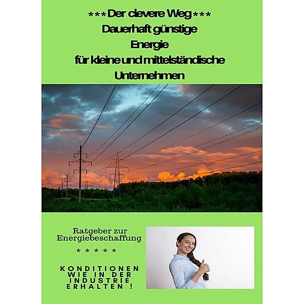 Der clevere Weg - dauerhaft günstige Energiebeschaffung für kleine und mittlere Unternehmen, Maria Zuwovski