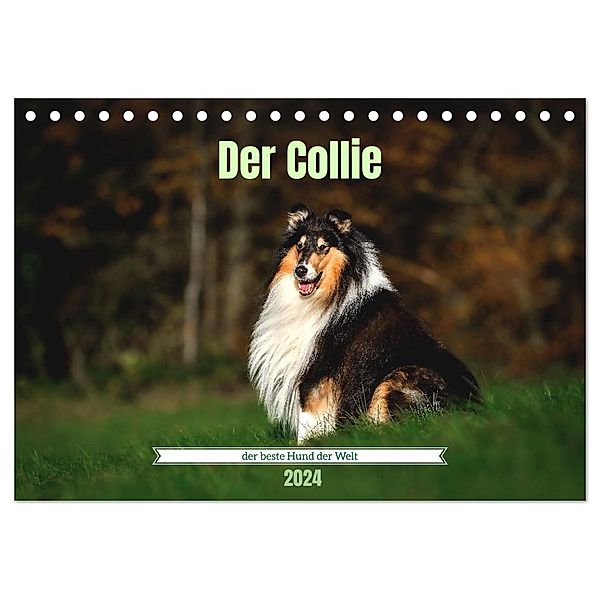 Der Collie der beste Hund der Welt (Tischkalender 2024 DIN A5 quer), CALVENDO Monatskalender, Yvonne Janetzek
