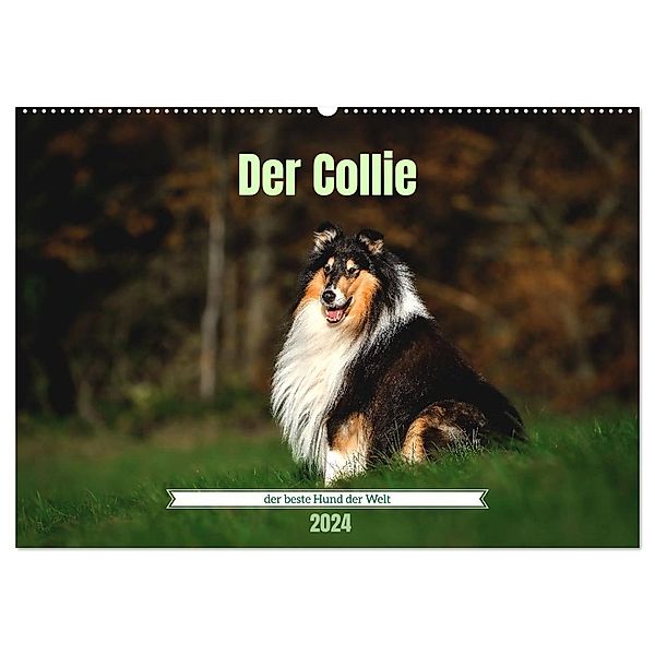 Der Collie der beste Hund der Welt (Wandkalender 2024 DIN A2 quer), CALVENDO Monatskalender, Yvonne Janetzek