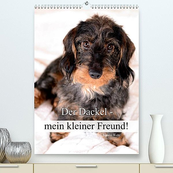 Der Dackel - mein kleiner Freund (Premium, hochwertiger DIN A2 Wandkalender 2023, Kunstdruck in Hochglanz), Susann Kuhr
