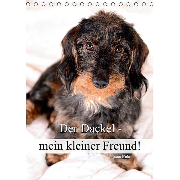 Der Dackel - mein kleiner Freund (Tischkalender 2019 DIN A5 hoch), Susann Kuhr