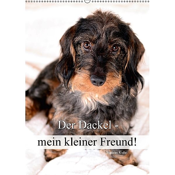 Der Dackel - mein kleiner Freund (Wandkalender 2018 DIN A2 hoch) Dieser erfolgreiche Kalender wurde dieses Jahr mit glei, Susann Kuhr