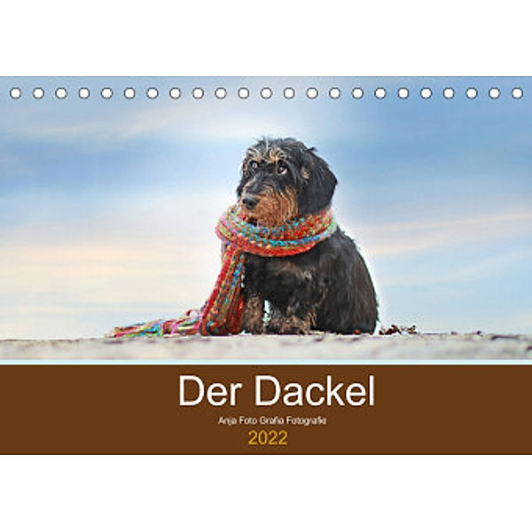 Der Dackel (Tischkalender 2022 DIN A5 quer), Anja Foto Grafia Fotografie