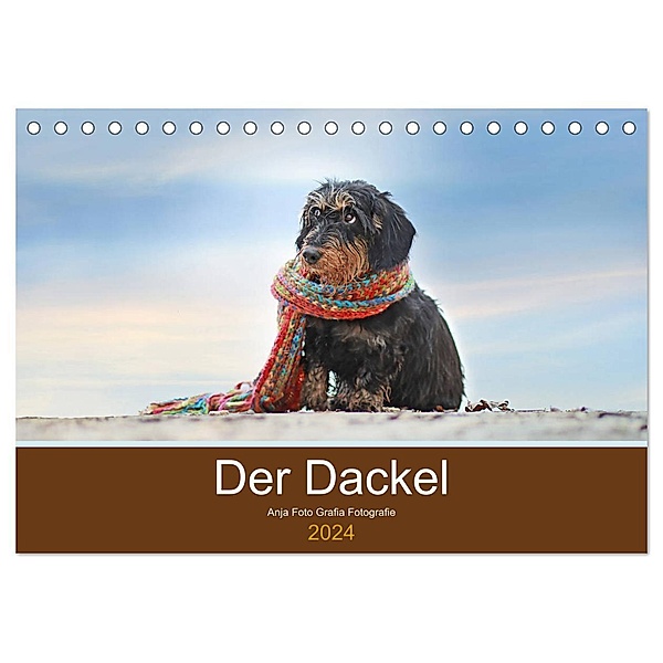 Der Dackel (Tischkalender 2024 DIN A5 quer), CALVENDO Monatskalender, Anja Foto Grafia Fotografie