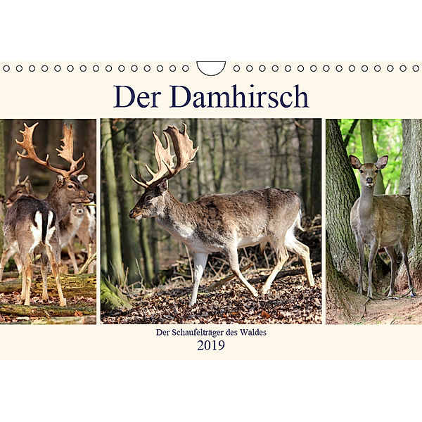 Der Damhirsch - Der Schaufelträger des Waldes (Wandkalender 2019 DIN A4 quer), Arno Klatt