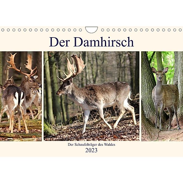 Der Damhirsch - Der Schaufelträger des Waldes (Wandkalender 2023 DIN A4 quer), Arno Klatt