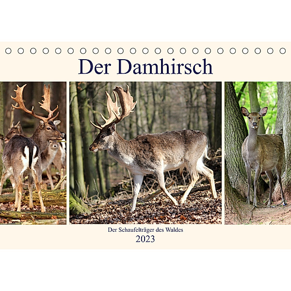 Der Damhirsch - Der Schaufelträger des Waldes (Tischkalender 2023 DIN A5 quer), Arno Klatt