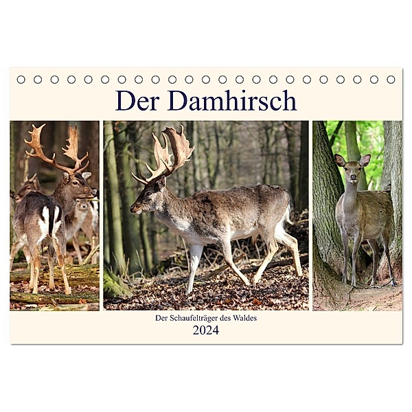 Der Damhirsch - Der Schaufelträger des Waldes (Tischkalender 2024 DIN A5 quer), CALVENDO Monatskalender, Arno Klatt