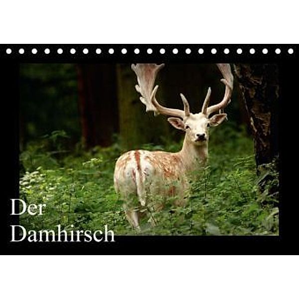 Der Damhirsch (Tischkalender 2016 DIN A5 quer), Arno Klatt