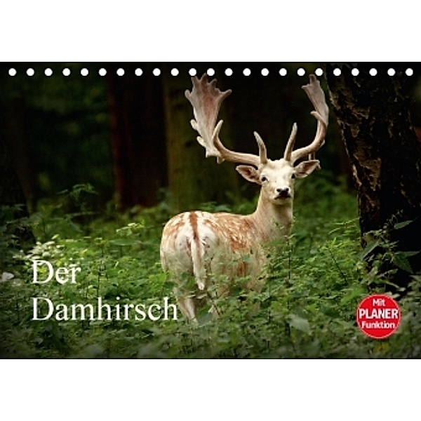 Der Damhirsch (Tischkalender 2016 DIN A5 quer), Arno Klatt