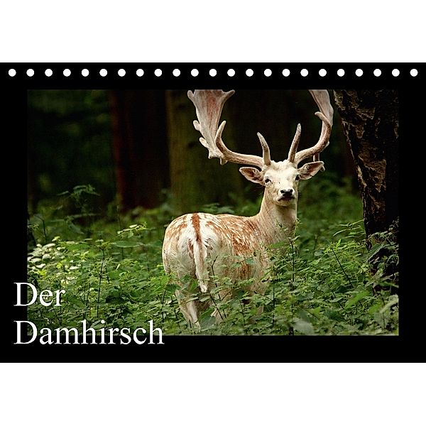 Der Damhirsch (Tischkalender 2018 DIN A5 quer), Arno Klatt