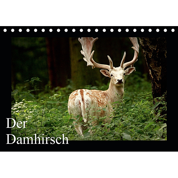 Der Damhirsch (Tischkalender 2019 DIN A5 quer), Arno Klatt