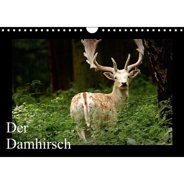 Der Damhirsch (Wandkalender 2015 DIN A4 quer), Arno Klatt