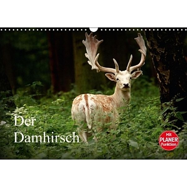 Der Damhirsch (Wandkalender 2016 DIN A3 quer), Arno Klatt