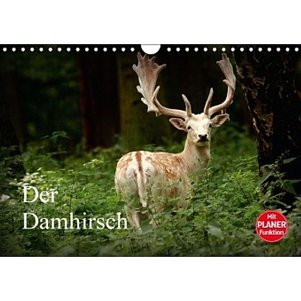 Der Damhirsch (Wandkalender 2016 DIN A4 quer), Arno Klatt