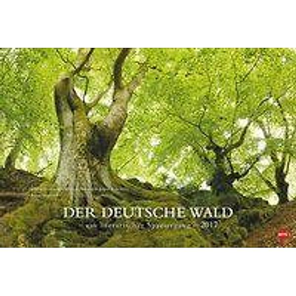 Der deutsche Wald - Ein literarischer Spaziergang 2017