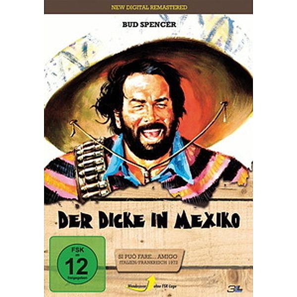 Der Dicke in Mexico, Film