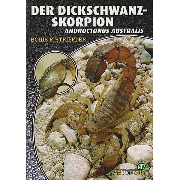 Der Dickschwanzskorpion, Boris Striffler