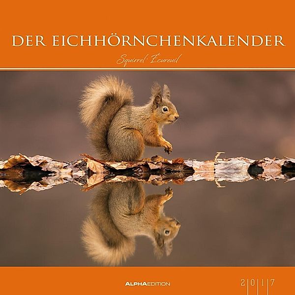 Der Eichhörnchenkalender 2017, ALPHA EDITION
