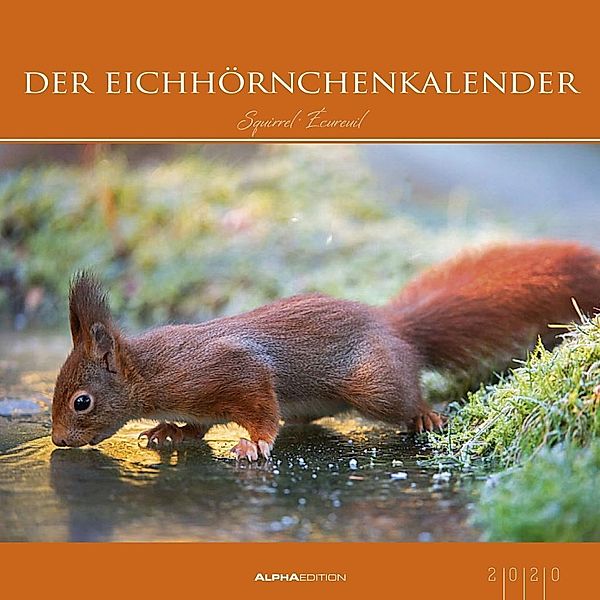 Der Eichhörnchenkalender 2020, ALPHA EDITION
