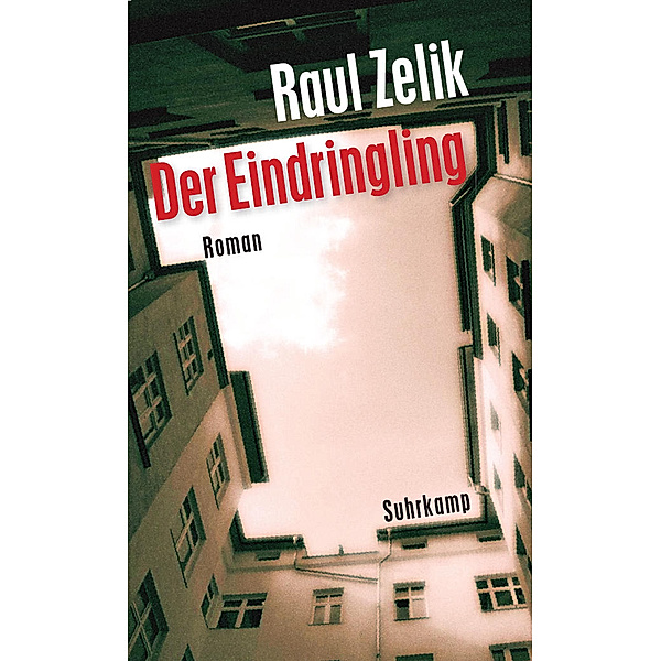 Der Eindringling, Raul Zelik