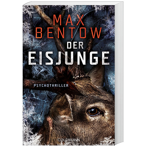 Der Eisjunge / Nils Trojan Bd.9, Max Bentow