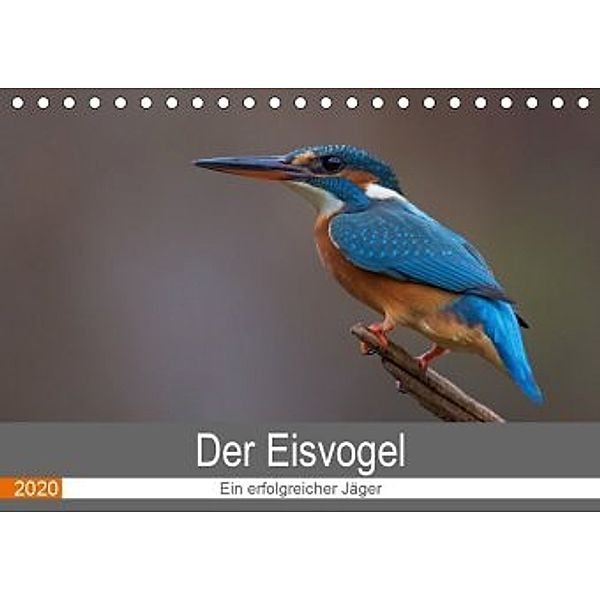 Der Eisvogel - Ein erfolgreicher Jäger (Tischkalender 2020 DIN A5 quer), Wiking Dürre