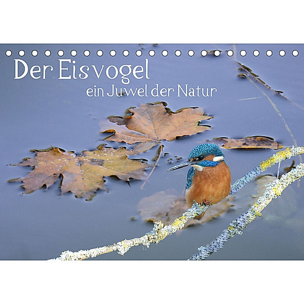 Der Eisvogel ein Juwel der Natur (Tischkalender 2023 DIN A5 quer), Rufotos