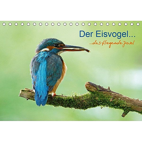 Der Eisvogel...fliegendes Juwel (Tischkalender 2021 DIN A5 quer), Mirko Fuchs