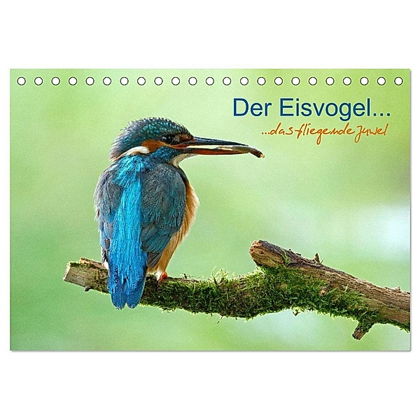 Der Eisvogel...fliegendes Juwel (Tischkalender 2024 DIN A5 quer), CALVENDO Monatskalender, Mirko Fuchs
