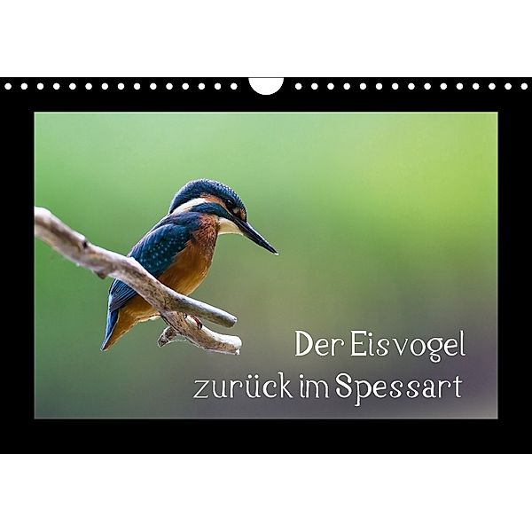 Der Eisvogel zurück im Spessart (Wandkalender 2018 DIN A4 quer) Dieser erfolgreiche Kalender wurde dieses Jahr mit gleic, Björn Reibert