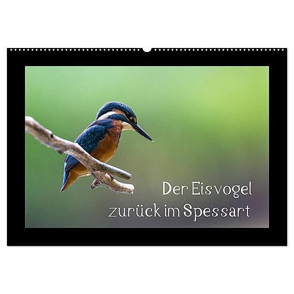 Der Eisvogel zurück im Spessart (Wandkalender 2024 DIN A2 quer), CALVENDO Monatskalender, Björn Reibert