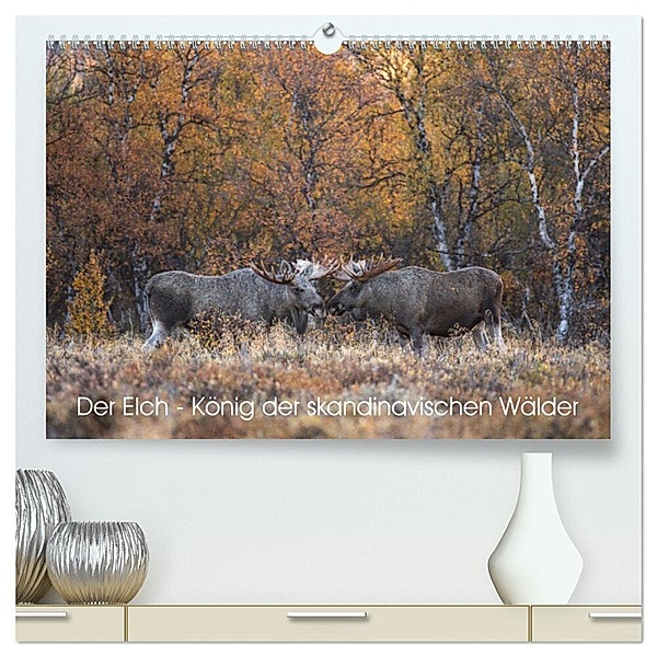 Der Elch - König der skandinavischen Wälder (hochwertiger Premium Wandkalender 2024 DIN A2 quer), Kunstdruck in Hochglanz, David Oberholzer