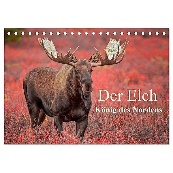 Der Elch - König des Nordens (Tischkalender 2024 DIN A5 quer), CALVENDO Monatskalender, Inken Paletta, Claudia Pelzer