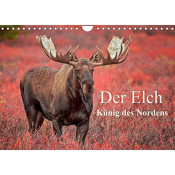 Der Elch - König des Nordens (Wandkalender 2023 DIN A4 quer), Claudia Pelzer, Inken Paletta