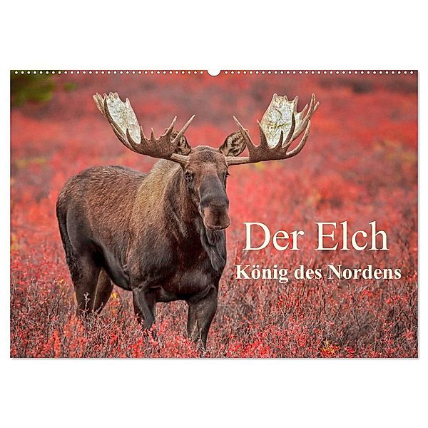Der Elch - König des Nordens (Wandkalender 2024 DIN A2 quer), CALVENDO Monatskalender, Inken Paletta, Claudia Pelzer
