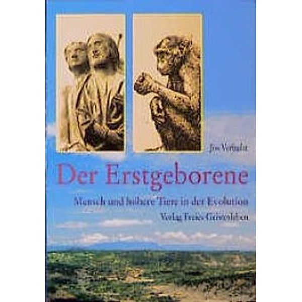 Der Erstgeborene, Jos Verhulst