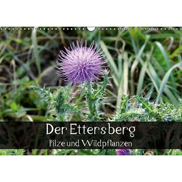 Der Ettersberg - Pilze und Wildpflanzen (Wandkalender 2015 DIN A3 quer), Jan Schachtschabel